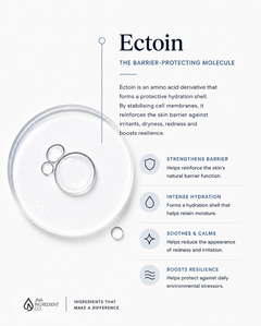 Why Formulators Use Ectoin