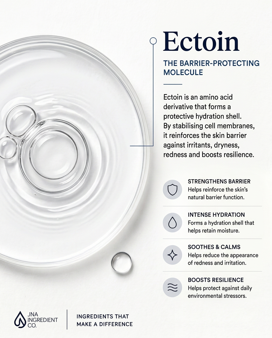 Formulator‑ready Ectoin Powder showcased in editorial for barrier repair, soothing, and hydration‑enhancing skincare applications